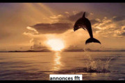 Avatar de h2opolo