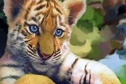 Avatar de Vmusefan