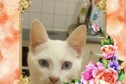 Avatar de Colette 49