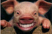 Avatar de DUDU16