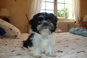 Avatar de ficelle33