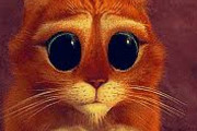 Avatar de MOUNOU