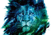 Avatar de LION 7