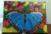 Avatar de colibri 81