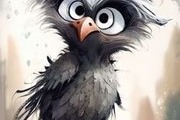 Avatar de ortie