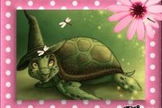 Avatar de tortuemao