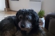 Avatar de kiki24