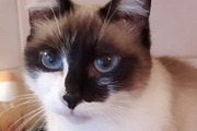 Avatar de Cl�opatre85
