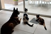 Avatar de LES 3 COPAINS
