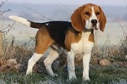 Avatar de FLORLYON