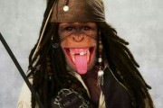 Avatar de Ricounet