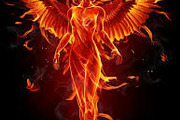 Avatar de PHOENIX 15