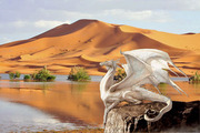 Avatar de MICHELDUNES