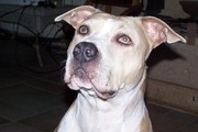 Avatar de mvassa